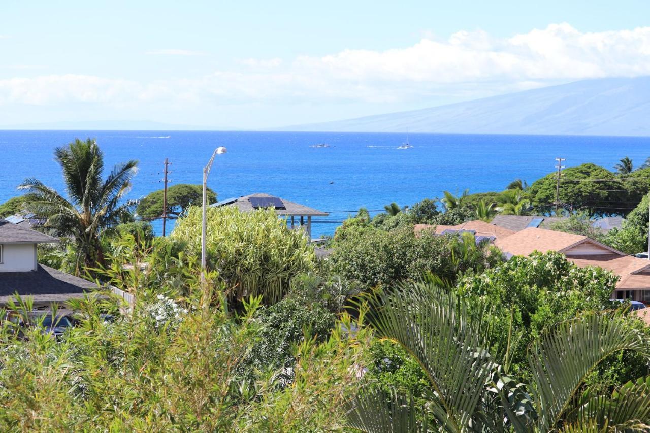 Maui Garden Oasis Villa Lahaina Eksteriør billede