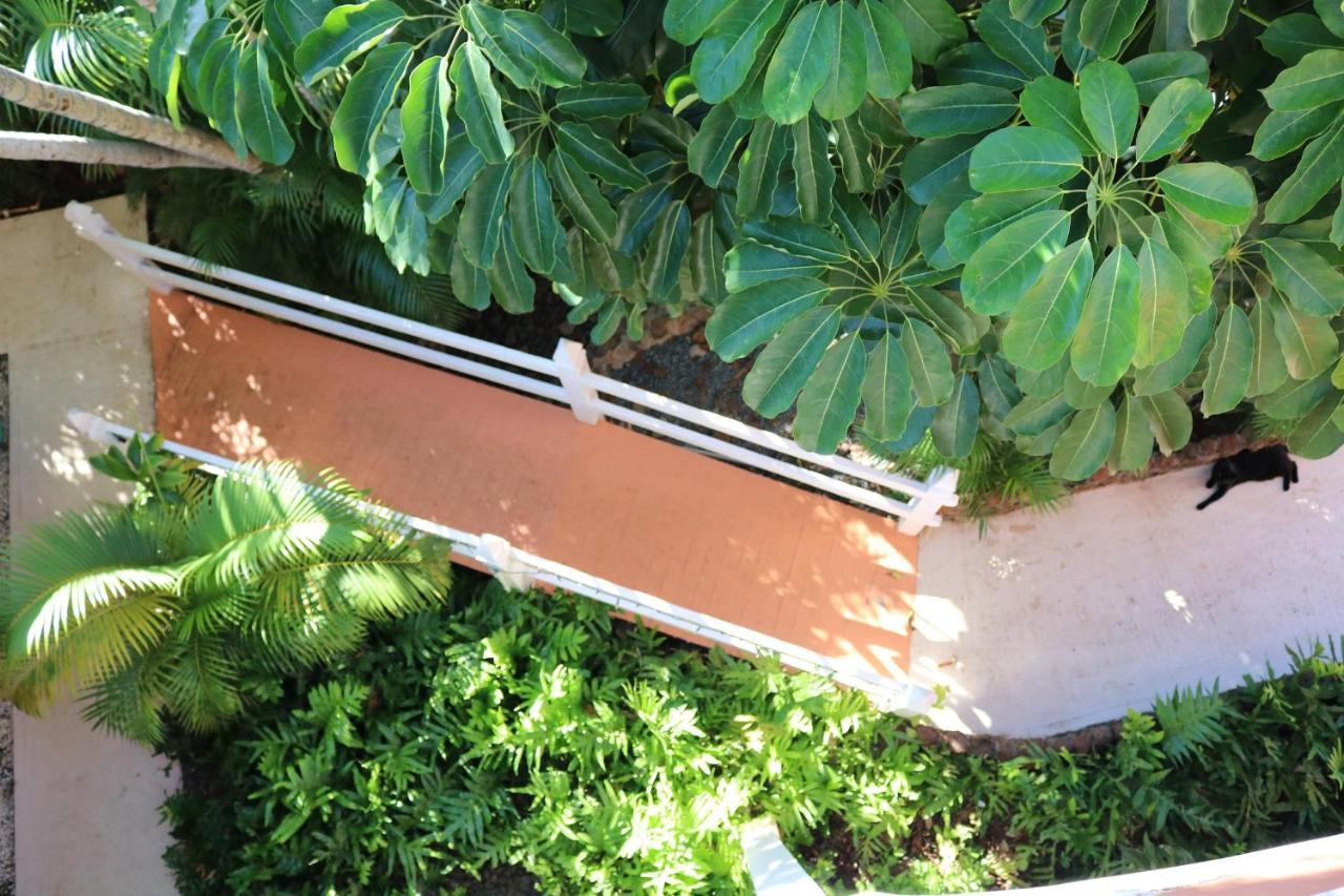 Maui Garden Oasis Villa Lahaina Eksteriør billede