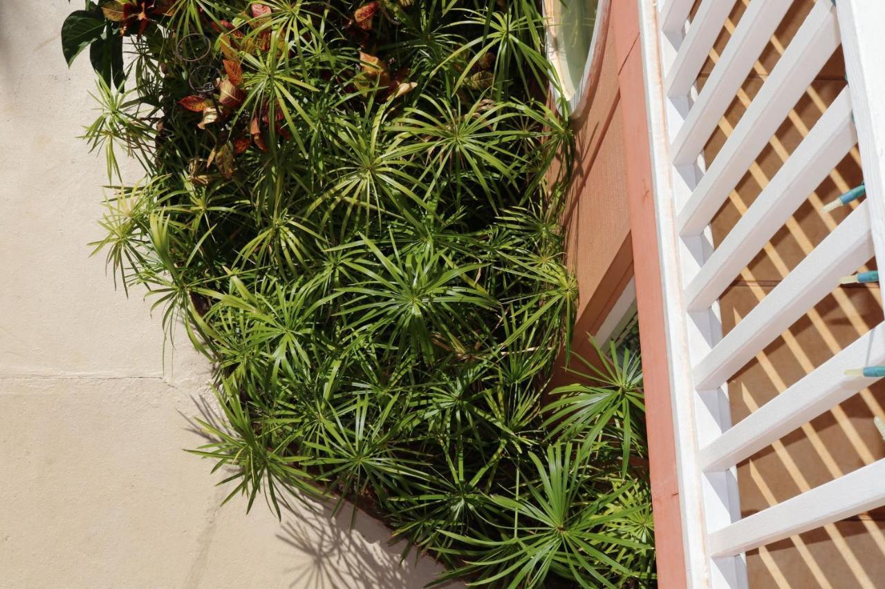 Maui Garden Oasis Villa Lahaina Eksteriør billede