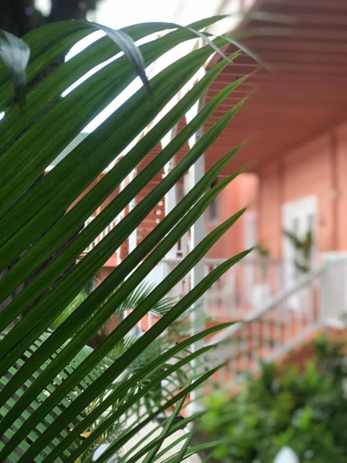 Maui Garden Oasis Villa Lahaina Eksteriør billede
